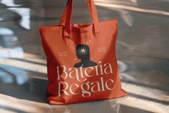 Enikra - Elegant Thin Serif Display Product Image 8