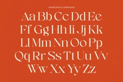 Enikra - Elegant Thin Serif Display Product Image 9