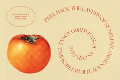 Enikra - Elegant Thin Serif Display Product Image 10