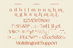 Enikra - Elegant Thin Serif Display Product Image 19