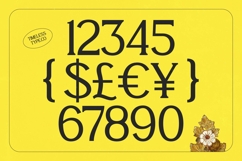 Enkyfa Serif Display Typeface Product Image 6
