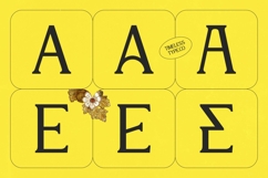 Enkyfa Serif Display Typeface Product Image 11