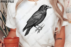 vintage black crow perched PNG Product Image 2