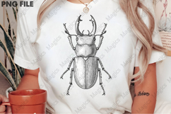 vintage male stag beetle PNG Product Image 2