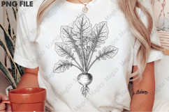 vintage turnip plant PNG Product Image 2