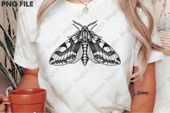 vintage moth spread wings PNG Product Image 2