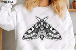 vintage moth spread wings PNG Product Image 3