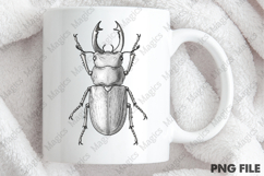vintage male stag beetle PNG Product Image 4