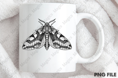 vintage moth spread wings PNG Product Image 4