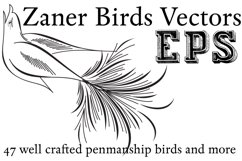 Zaner Birds EPS SET Product Image 1