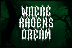 Erethyl | Black Metal Font Product Image 6