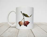 Hand Painted Rosehip Watercolor PNG Clipart Set Product Image 6