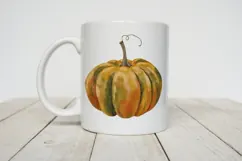 Hand Painted Watercolor Pumpkin Clipart PNG Product Image 4