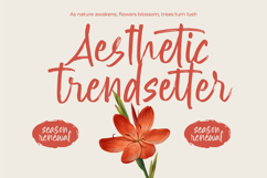 Erottage Jhitaleon Modern Brush Font Type Product Image 9