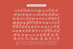 Erottage Jhitaleon Modern Brush Font Type Product Image 18
