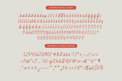 Erottage Jhitaleon Modern Brush Font Type Product Image 19