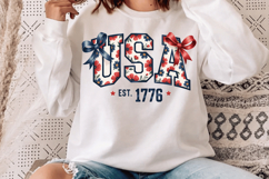 USA Flag Sublimation PNG Design for T-Shirt Printing Design Product Image 2