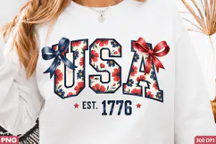USA Flag Sublimation PNG Design for T-Shirt Printing Design Product Image 1