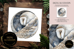 Barn Owl in Moon Circle Illustration Product Image 1