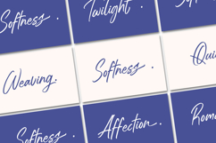 Estone Dreamwell Elegant Script Font Product Image 13