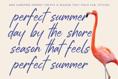 Estone Dreamwell Elegant Script Font Product Image 15