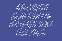 Estone Dreamwell Elegant Script Font Product Image 16