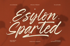Esylon Sparted Bold Brush Type Font Product Image 1