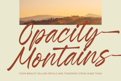 Esylon Sparted Bold Brush Type Font Product Image 12