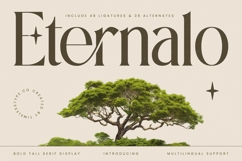 Eternalo Bold Luxury Modern Serif Product Image 1