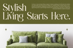 Eternalo Bold Luxury Modern Serif Product Image 2