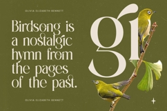 Eternalo Bold Luxury Modern Serif Product Image 5