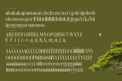 Eternalo Bold Luxury Modern Serif Product Image 19