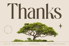 Eternalo Bold Luxury Modern Serif Product Image 20