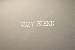 Cafesu - Elegant Modern Serif Display Font Product Image 4