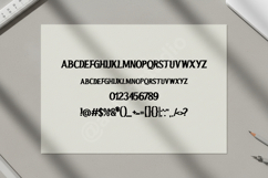 Caga - Elegant Modern Serif Font Product Image 16