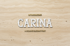 Carina - Elegant Modern Serif Typeface Product Image 1