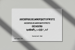 Carina - Elegant Modern Serif Typeface Product Image 16