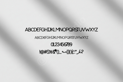 Carobo - Sophisticated Modern Serif Display Product Image 15