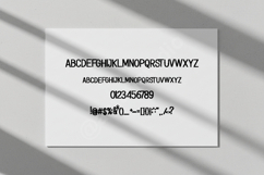 Cayena | Elegant &amp; Timeless Modern Serif Product Image 16
