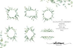 eucalyptus greenery clipart