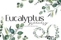 eucalyptus clipart