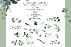 eucalyptus greenery clipart