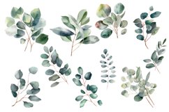 Eucalyptus watercolor leaves clipart Product Image 2