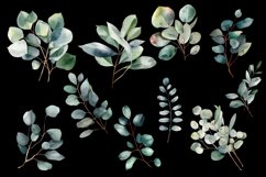 Eucalyptus watercolor leaves clipart Product Image 3