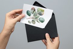 Eucalyptus watercolor leaves clipart Product Image 4