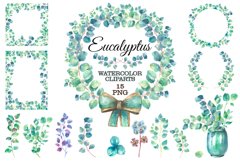 Eucalyptus watercolor clipart Product Image 1