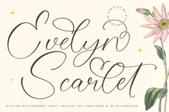 Evelyn Scarlet - Stylish Calligraphy Font Product Image 1