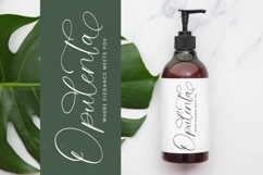 Evelyn Scarlet - Stylish Calligraphy Font Product Image 6