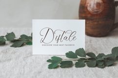 Evelyn Scarlet - Stylish Calligraphy Font Product Image 12