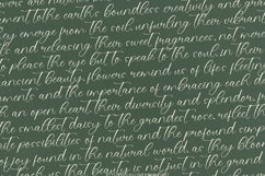 Evelyn Scarlet - Stylish Calligraphy Font Product Image 15